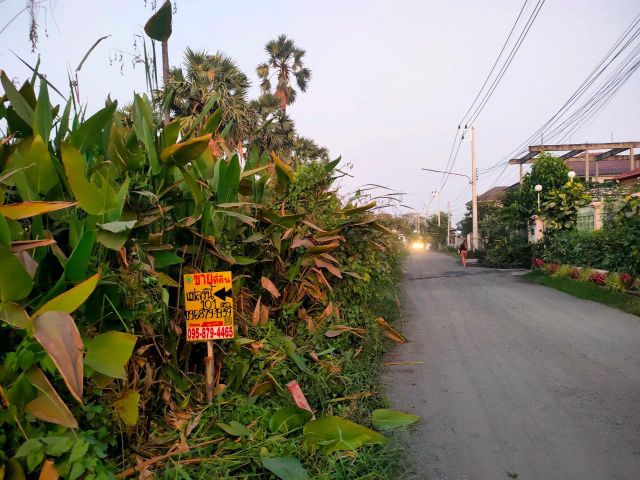 ขายด่วน️ที่ดิน เนื้อที่ 101 ตร.ว.(แบ่งขายได้) ซอย พูลศรี ใกล้แยกบางคูวัด