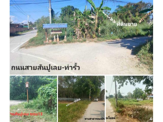 #ขายที่ดิน621ตร.ว.อยู่บ้านสันปูเลย ซอย13 ถนนสายสันปูเลย-ท่ารั้ว ฝกล้วัดสันปูเลยสะหลีเวียงแก้วแค่500ม.สาธารณูปโภคครบ