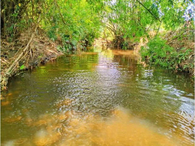 ขายที่ดินติดน้ำบ้านหลวงจอมทองโฉนดพร้อมโอนราคาถูก