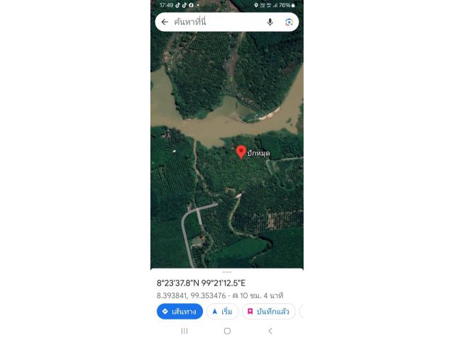 ขายที่สวนปาล์มติดแม่น้ำตาปี16ไร่