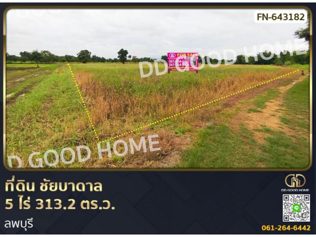 ที่ดิน ชัยบาดาล 5 ไร่ 313.2 ตร.ว. ลพบุรี