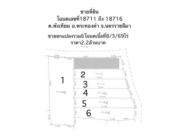 ขายที่ดินเนื้อที่ 8/3/69 ไร่ สำหรับอยู่อาศัย สวนเกษตร บ้านโนนไทรโยง ใกล้ตลาดโคกสวาย อ.โนนไทย นครราชสีมา มีประปา ไฟฟ้า ติดถนนลาดยาง