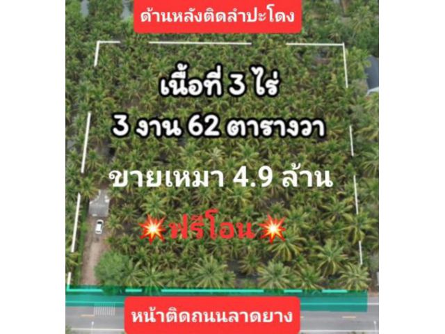 ขายสวนมะพร้าวเกือบ4ไร่​ เหมา​ 4.9ล้าน​  หน้าติดถนน​ หลังติดลำปะโดง​คนขายออกค่าโอนทั้งหมด​หน