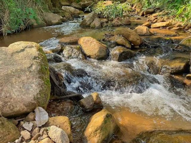 ขายที่สวนติดลำห้วยสะเมิงเหนือบ้านแพะวิวดอยโฉนดพร้อมโอน