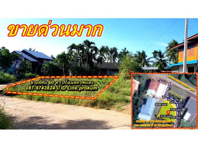 ขายที่ 60 ตรว.โฉนดครุฑแดง ต.บ้านโตก 330,000 บาท