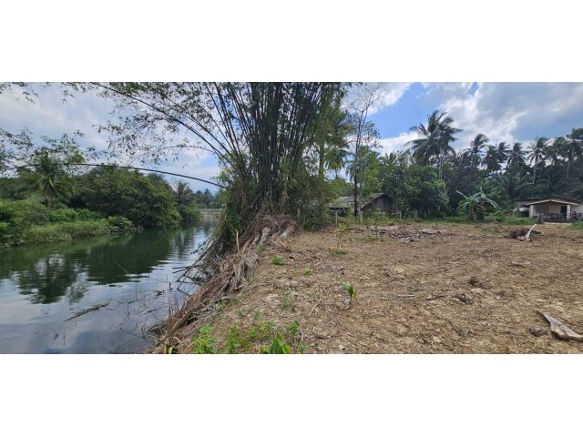 ขายที่ดินระนอง ติดคลองใกล้อ่าวกะเปอร์ Land for sale in Ranong, next to a canal near Ao Kaper