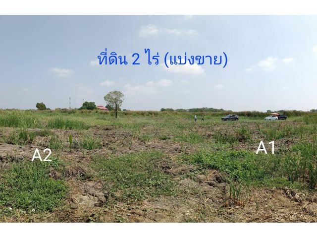ขายที่ดินบางพลี ใกล้Siam Premium Outlets เพียง3กม. (ซอยติดกับตลาดเทิดไท-สี่แยกลำต้อยติ่ง)