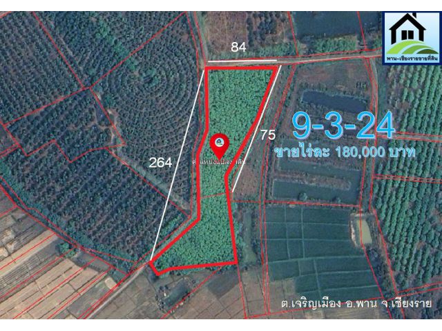 pcr2473 ขายสวนยางเป็นโฉนด ต.เจริญเมือง อ.พาน จ.เชียงราย