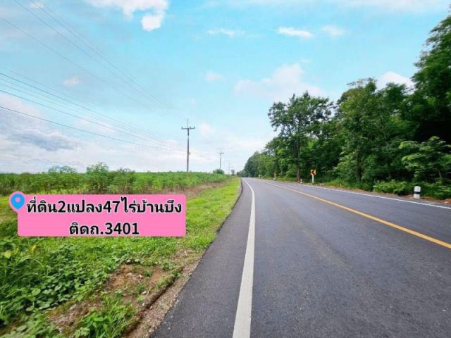 ️ขายที่ดินสวยติดถนน หนองอิรุณ บ้านบึง ชลบุรี​ 47 ไร่  (พื้นที่สีเหลือง)