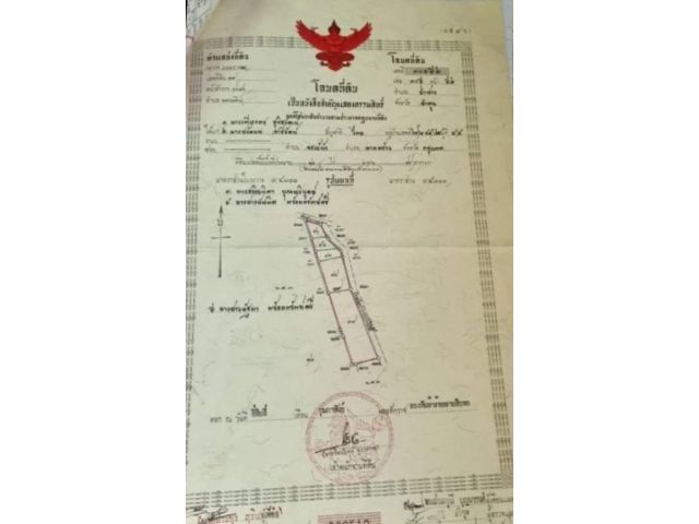 ขายที่ดินพร้อมบ้านพักโฉนด 17ไร่ ขาย6ล้าน