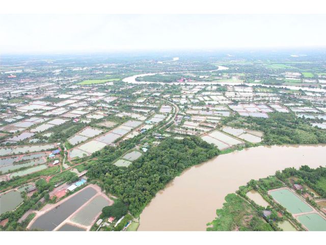 ขายที่ดินทำเลทองบางคล้า ฉะเชิงเทรา หน้ากว้างติดแม่น้ำบางปะกงถึง 300 เมตร เนื้อที่ 25 ไร่