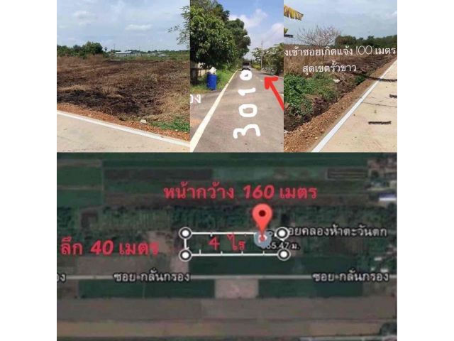 ขายที่ดินคลองห้า อำเภอคลองหลวง จังหวัดปทุมธานี จำนวน 4 ไร่