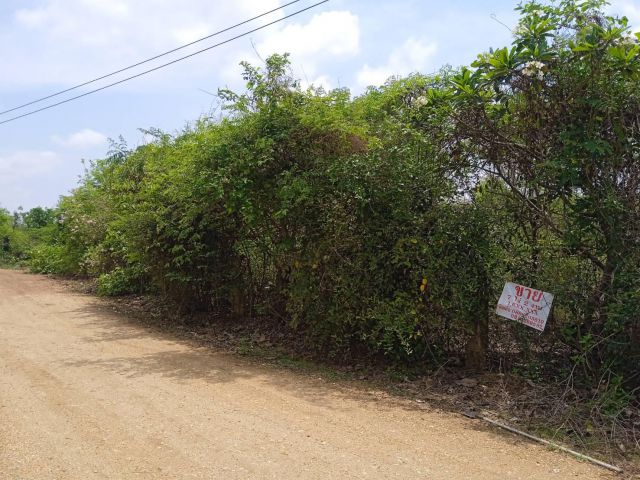 ขายที่ดิน บ้านทุ่งเจริญ ตำบลเกาะคา อำเภอเกาะคา จังหวัดลำปาง