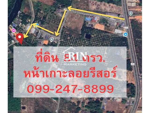 R043-005ขายที่ดิน 84 ตรว.หน้าร้านอาหารเกาะลอยรีสอร์ท ซอยชนเกษม43 ตำบลมะขามเตี้ย อำเภอเมืองสุราษฎร์ธานี