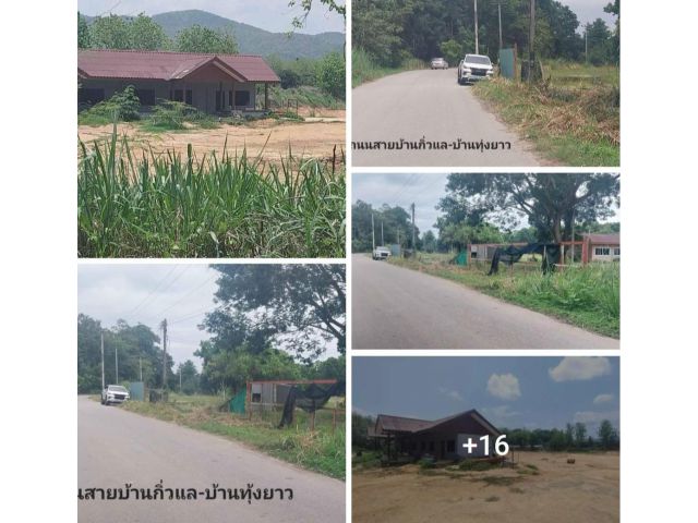 #*ขายที่ดิน10ไร่2งาน81ตร.ว.อยู่ติดถนนบ้านกิ่วแล-บ้านทุ่งยาว วิวล์ดอยสวยๆ ขายถูกที่สุดในย่านนี้??