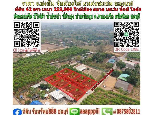 ที่ดิน 42 ตรว เหมา 252,000บาท ที่สูง มีไฟฟ้า มีน้ำประปา ติดคอนกรีต แหล่งชุมชน ใล้ เซเว่น บิกซี โลตัส CJ more