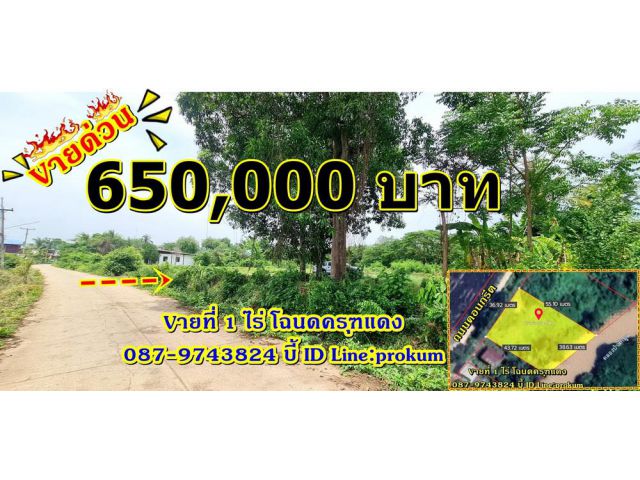 Vายที่ดินเพชรบูรณ์ 1 ไร่ ติดคลองลำป่าสัก ถมดินแล้ว 650,000 บาท