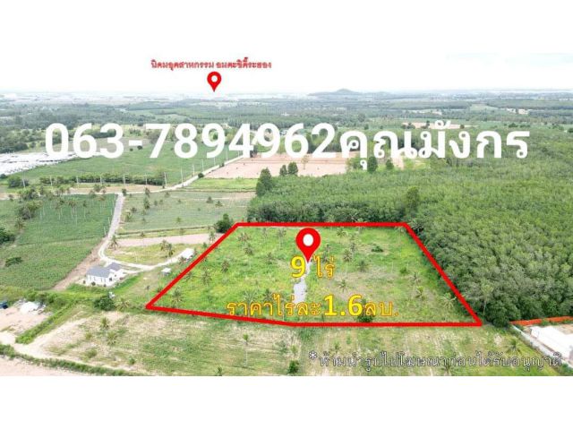 ที่ดิน 9ไร่ อ.บางละมุง จ.ชลบุรี ไร่ละ1.6ล้าน #ที่ดินบางละมุง #ที่ดินเขาไม้แก้ว #ที่ดิน9ไร่ #ที่ดินราคาถูก #ที่ดินซื้อเก็