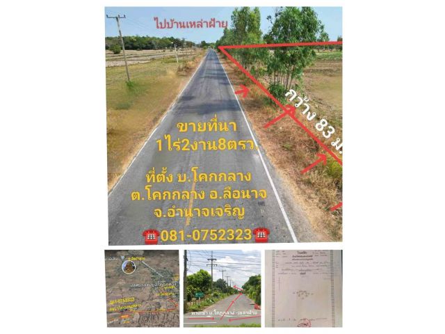 ขายที่ดิน แปลงพอดี ติดถนนดำ หมู่บ้าน เข้าออกหลายหมู่บ้าน อำเภอลืออำนาจ