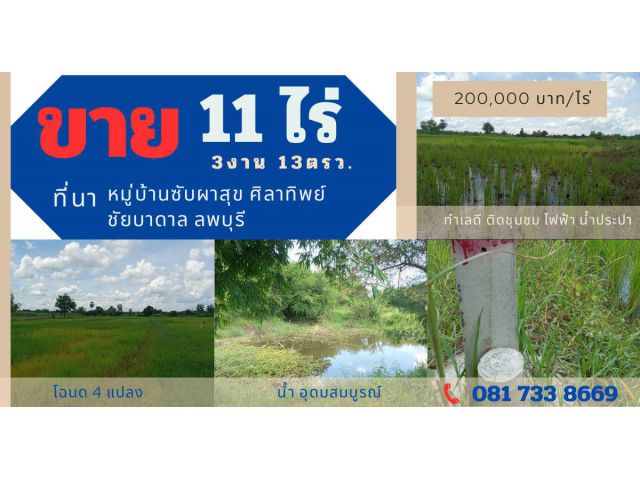 ขายที่นา 11ไร่ 3งาน 13ตารางวา ถนน 2212 แยกบ้านซับผาสุข ศิลาทิพย์ ชัยบาดาล ลพบุรี