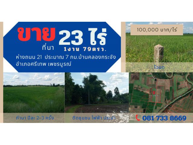 ขายที่นา 23ไร่ 1งาน 79ตรว. ถนนสาย2212 บ้านม่วงชุม ตำบลคลองกระจัง ศรีเทพ เพชรบูรณ์