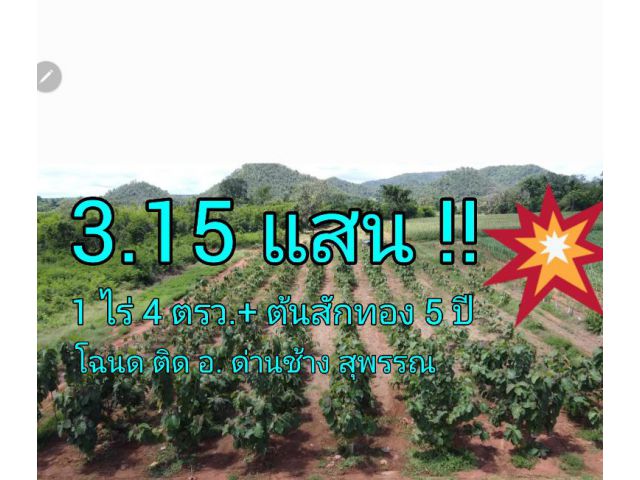 1 ไร่ 4 วา + สักทองอายุ 5 ปี โฉนด ติดถ.สาธารณะ ที่วิวภูเขา ติด อ. ด่านช้าง (เจ้าของขายเอง)