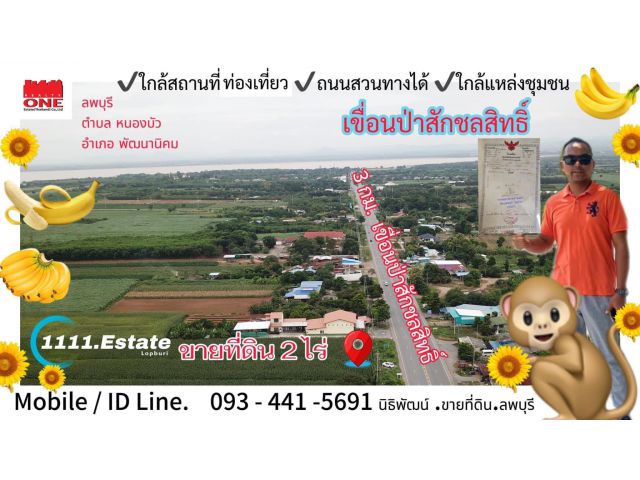 ขายที่ดิน2ไร่ ลพบุรี  ก่อนถึงเขื่อนป่าสัก3กิโลเมตร M.093-441-5691