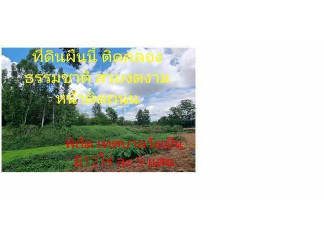 land for sale Chachoengsao ขายที่ดิน ไร่ละ 9 แสน