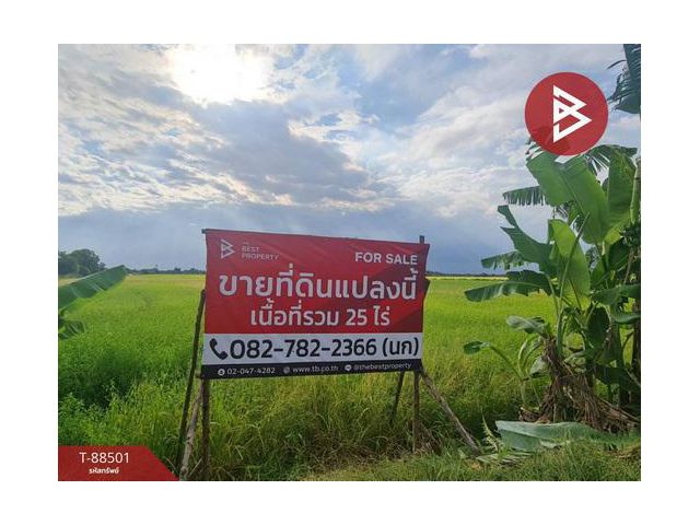 ขายที่ดินที่นา เนื้อที่ 25 ไร่ บางคล้า ฉะเชิงเทรา ติดถนน-ด้านหลังติดคลอง บรรยากาศดี