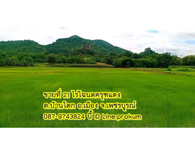 ขายที่ 21 ไร่ ต.บ้านโตก