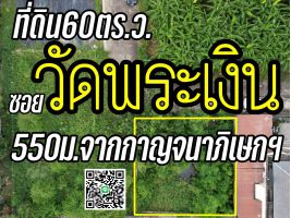 ที่ดิน60ตร.ว. "ซอยวัดพระเงิน"