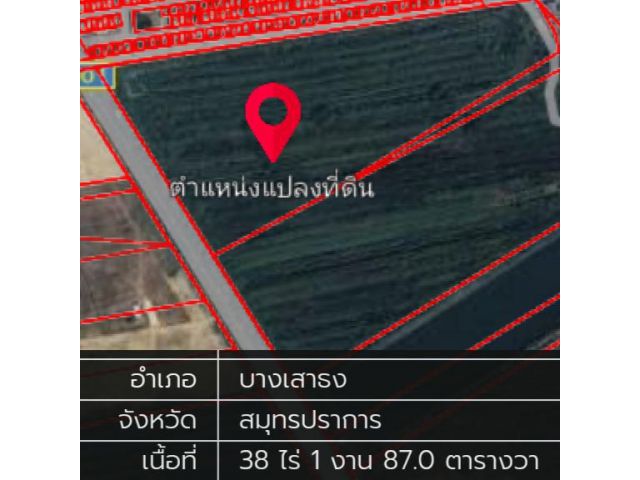 ขายที่ดิน38ไร่