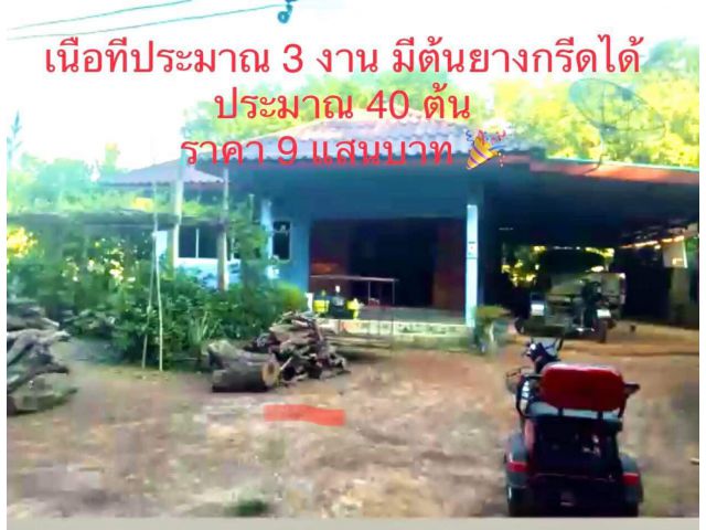 บ้านพร้อมที่ดิน