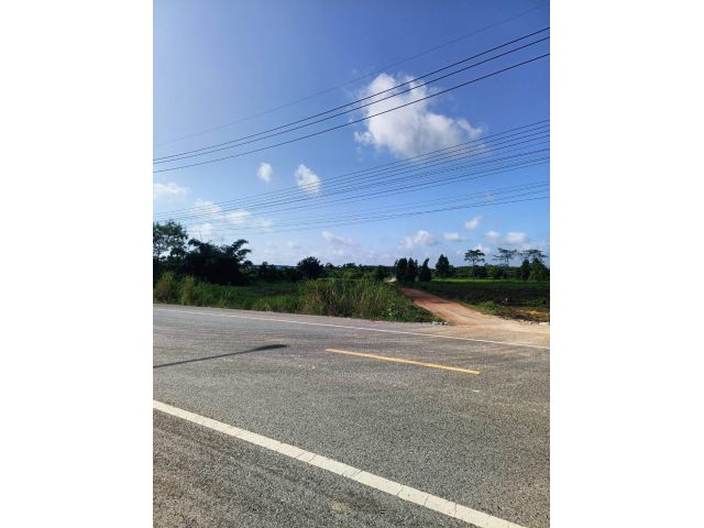 Land for sale , ที่ดินขาย ผังสีม่วง