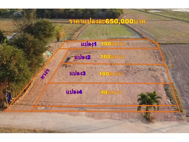 Vายที่ดิน100ตร.วา ใกล้ตัวเมืองราชบุรี3กม. ถมแล้วไฟฟ้าประปาพร้อม เหมาะอยู่อาศัย สถานที่ใกล้เคียง สนามฟุตบอลราชบุรี