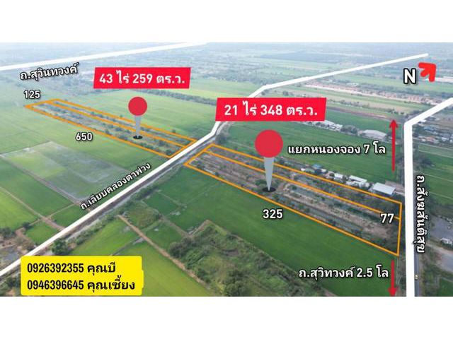 ขายที่ดิน 65 ไร่ 207 ตารางวา แขวงกระทุ่มราย เขตหนองจอก กรุงเทพมหานคร 10530