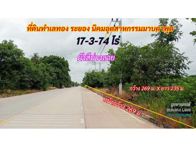 ขายที่ดินระยอง มาบตาพุต 17-3-74 ไร่ พื้นที่สีม่วงลาย ติดถนนหน้ากว้างมากๆ