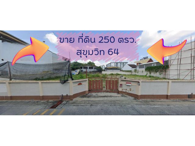 789/72 ขายที่ดิน 250 ตารางวา สุขุมวิท 64/1 ตรงข้าง True Digital Park West