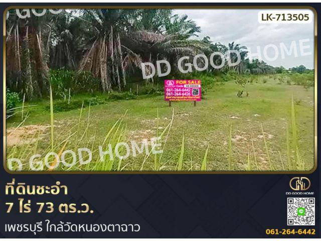 ที่ดินชะอำ 7 ไร่ 73 ตร.ว. เพชรบุรี ใกล้วัดหนองตาฉาว