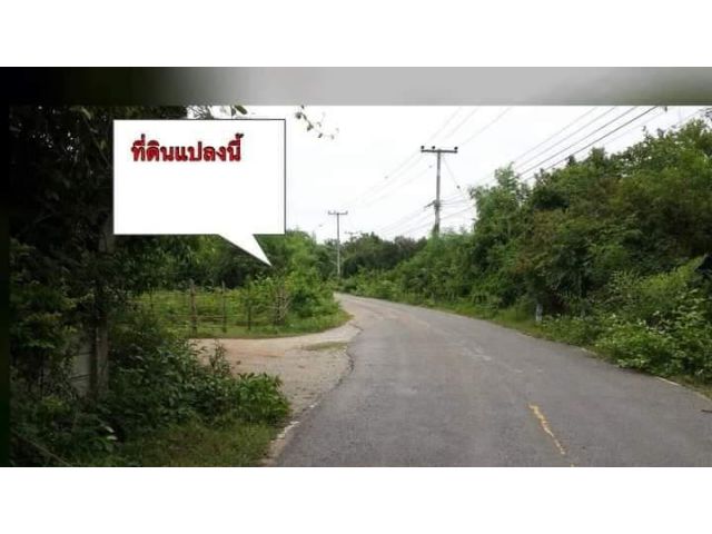 ขายที่ดินหลังเกษตรสันป่าตองห่างถนนหลักเพียง 300 เมตร