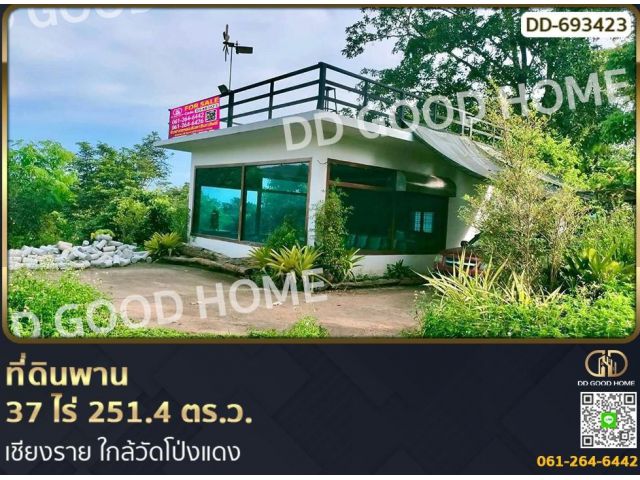 ที่ดินพาน 37 ไร่ 251.4 ตร.ว. เชียงราย ใกล้วัดโป่งแดง