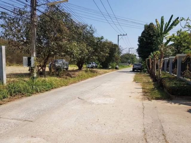 ขายที่ดินบ้านร้องเรือนคำตำบลป่าแดดติดถนนพร้อมโอน