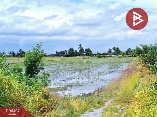 ขายที่ดิน เนื้อที่ 4 ไร่ หมู่บ้านสามหน่อ โคกโคเฒ่า สุพรรณบุรี