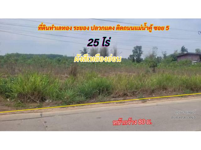 ขายที่ดินระยอง ปลวกแดง 25 ไร่ พื้นที่สีเหลืองอ่อน ติดถนนหน้ากว้าง