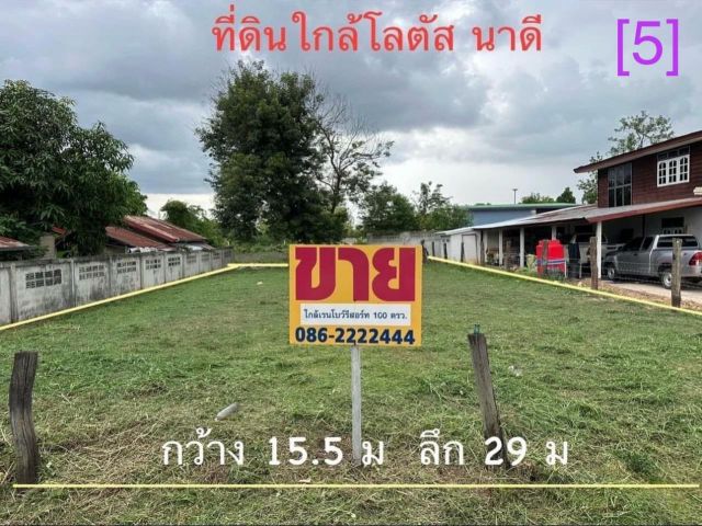 ที่ดิน 100 ตรว. ตรงข้ามเรนโบว์รีสอร์ท [5]