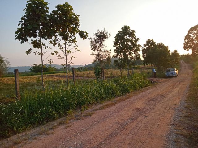 ที่ดินใกล้เขาติดเขตเทศบาลภูเรือ บรรยากาศธรรมชาติเชิงบ้านสวน มีเพื่อนบ้านน่าอยู่เหมาะกับบ้านพักตากอากาศ