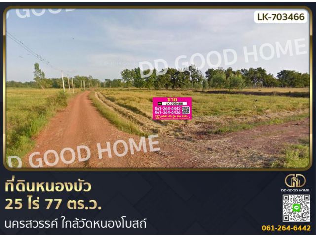 ที่ดินหนองบัว 25 ไร่ 77 ตร.ว. นครสวรรค์ ใกล้วัดหนองโบสถ์