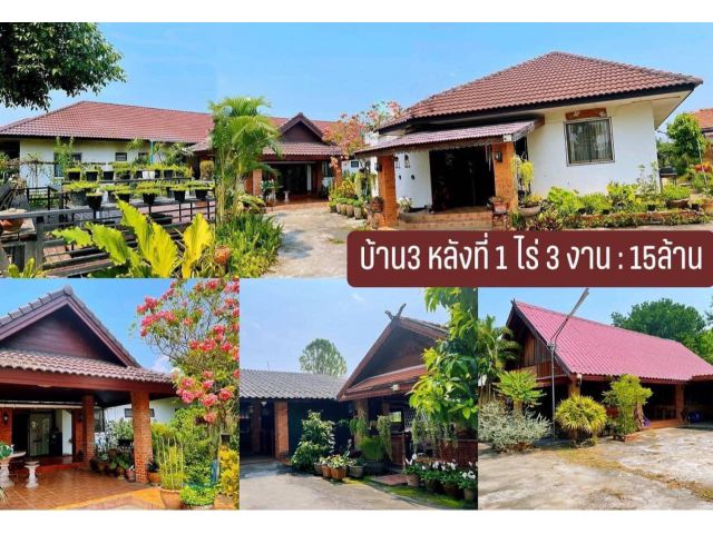 ขายบ้านหางดง ห่างสนามบิน15นาที1-3-7ตรว ขาย15ล้าน ต.สันผักหวาน อ.หางดง จ.เชียงใหม่ บ้าน 3 หลัง 1 .บ้านปูนชั้นเดียวหลังใหญ