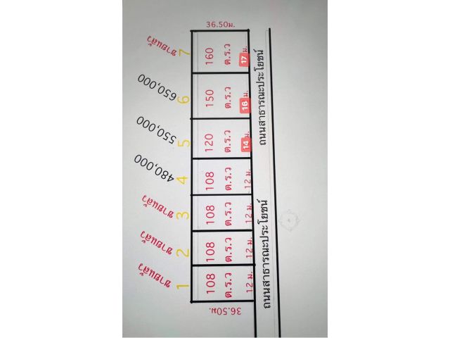 ที่ดินแบ่งขายราคาถูก นิคมพัฒนา ชอย 11  เนื้อที่ 107 ตารางวา ขาย 480,000 บาท ห่างจากนิคม WHA แค่ 2 กิโล