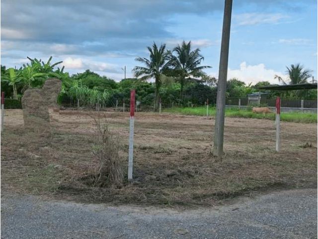 ขายที่ดินตำบลสันทรายหนองหารแปลงมุมโฉนดพร้อมโอน